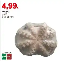 Basko Polpo offerta