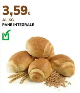 Basko Pane integrale offerta