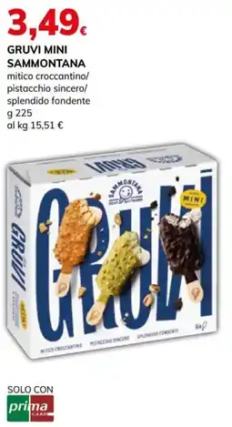 Basko Gruvi mini Sammontana offerta