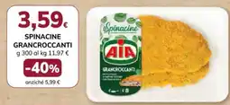 Basko Spinacine GranCrocanti AIA offerta