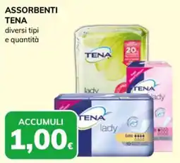 Basko Assorbenti Tena lady offerta