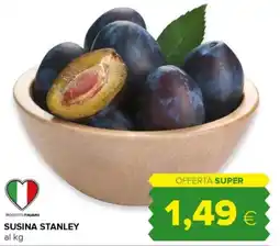 Oasi Susina Stanley offerta