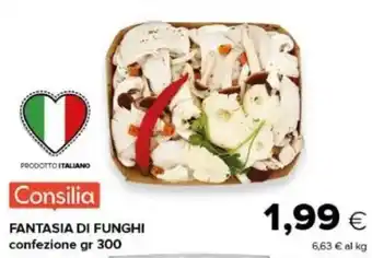 Consilia Fantasia di funghi