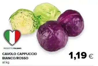 Cavolo Cappuccio Bianco/Rosso