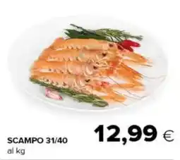 Oasi Scampo 31/40 offerta