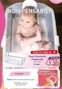 B di Bimbi Oasis Vaschetta Pieghedole Jané offerta