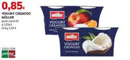 Basko Yogurt cremoso Müller offerta