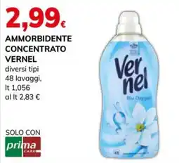 Basko Ammorbidente concentrato Vernel offerta