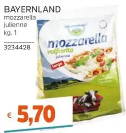 Stop&Shop Bavaria mozzarella julienne offerta