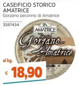 Stop&Shop Gorzano pecorino di Amatrice offerta