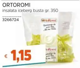 Stop&Shop Insalata iceberg OrtoRomi offerta