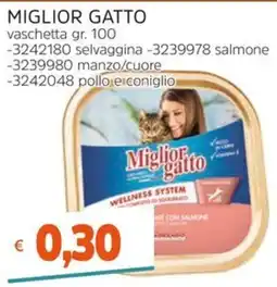 Stop&Shop Miglior gatto offerta