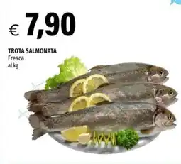 Hurrà Trota salmonata offerta