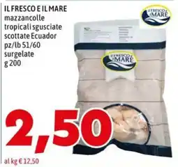 MEGA Il fresco e il mare mazzancolle tropicali sgusciate scottate Ecuador offerta