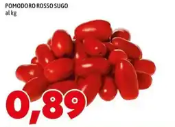 MEGA Pomodoro rosso sugo offerta