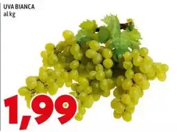 MEGA Uva bianca offerta