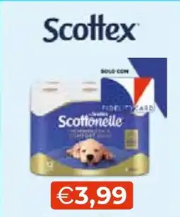 Mercatò Local Scottex Scottonelle offerta