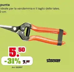 TuttoGiardino Punta Stocker offerta
