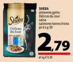A&O Sheba Délices du Jour salsa offerta