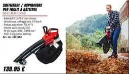 Einhell Soffiatore / Aspiratore per foglie a batteria GE-CL 36 LI E-SOLO offerta