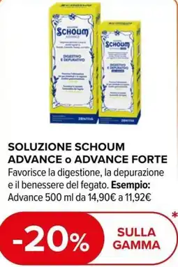 Dr.Max Soluzione Schoum Advance offerta