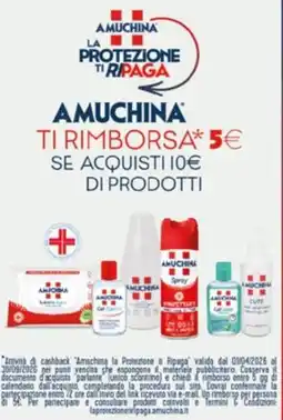 Dr.Max Amuchina offerta