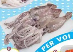 Iperfamily Totano estero offerta