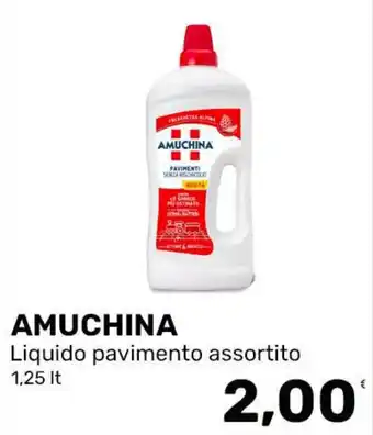 Amuchina liquido pavimento assortito
