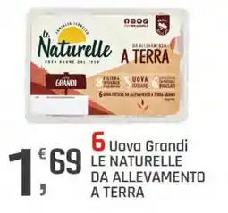 Supermercati Dok Uova Grandi Le Naturelle da allevamento a terra offerta