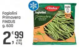 Supermercati Dok Fagiolini Primavera Findus offerta