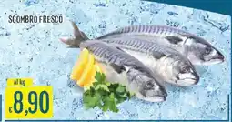 Sisa Sgombro fresco offerta