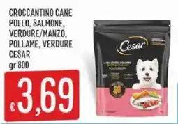 Sisa Crocantino cane Cesar offerta