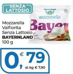 Alter Discount Mozzarella Valfiorita Senza Lattosio Bayernland offerta