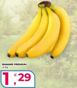 Alter Discount Banane Premium offerta