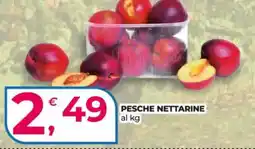 Alter Discount Pesche Nettarine offerta