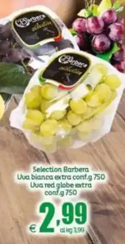 Elite Selection Barbera offerta
