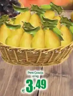 Elite Pere Coscia offerta