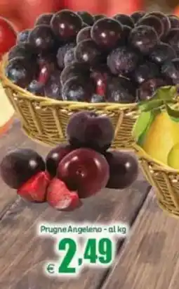 Elite Prugne Angeleno offerta