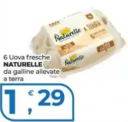 Alter Discount Uova fresche Naturelle offerta