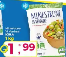 Alter Discount Minestrone 14 Verdure IGELA offerta
