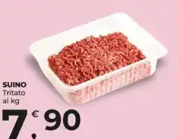 Alter Discount Tritato offerta