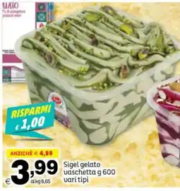 Elite Sigel gelato offerta