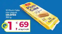Alter Discount Plum Cake con yogurt MR.SPIKE offerta