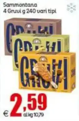 Elite Gruvi offerta