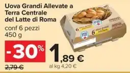 Carrefour Iper Uova Grandi Allevate a Terra Centrale del Latte di Roma offerta