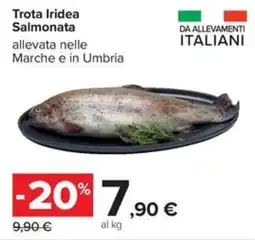Carrefour Iper Trota Iridea Salmonata offerta