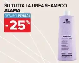 Carrefour Iper Shampoo Alama offerta