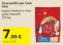 Carrefour Iper Crocchettini per Cani One offerta