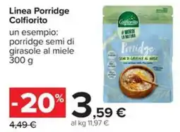 Carrefour Iper Porridge semi di girasole al miele offerta