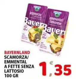Premium Supermercati BayerBavarese scamorza/emmental a fette senza lattosio offerta